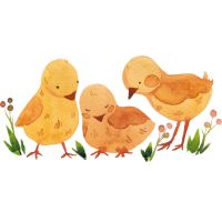 اسم دختر با حرف ب زیبا و خاص