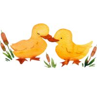 اسم پسر فارسی اصیل 33