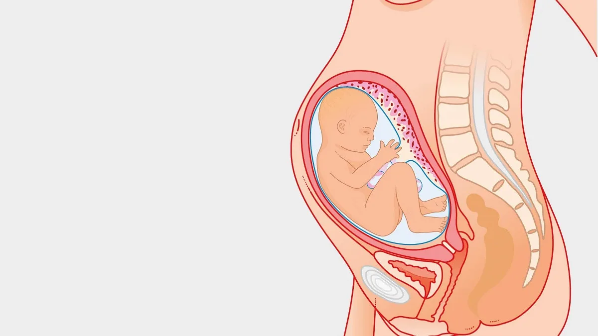 وضعیت مادر در هفته سی و یکم بارداری
