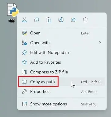 Your API key 4