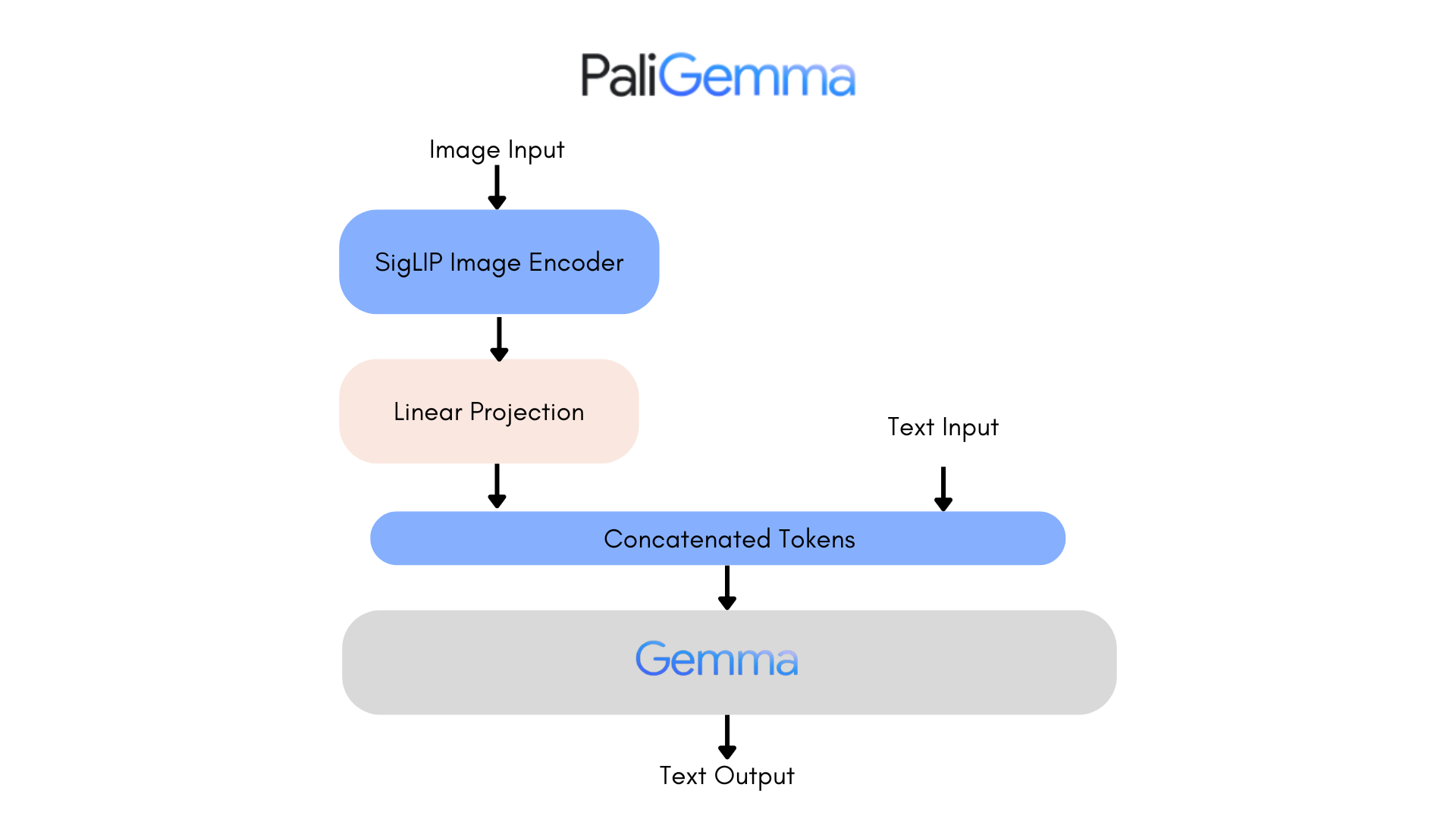 PaliGemma چیست؟