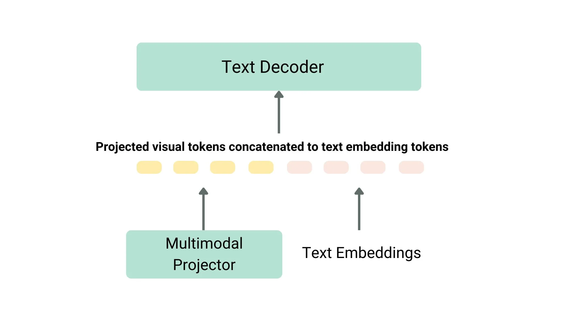 text decoder
