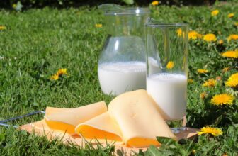 لبنیات و شیر و پنیر طبیعی در طبیعت