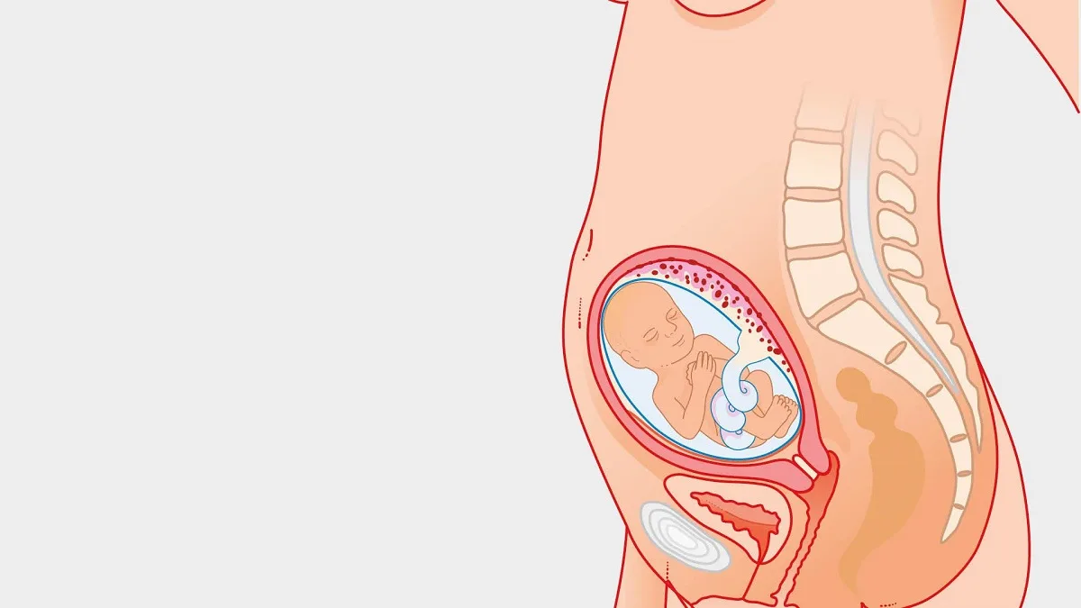 وضعیت مادر در هفته بیت و سوم بارداری